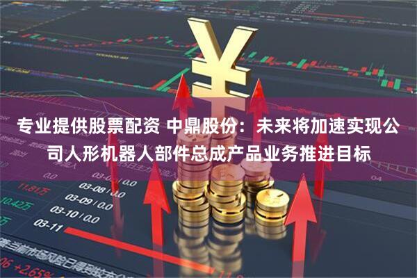 专业提供股票配资 中鼎股份：未来将加速实现公司人形机器人部件总成产品业务推进目标